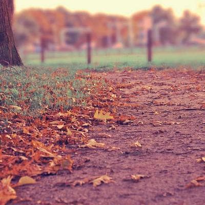 Headshot of John Doe